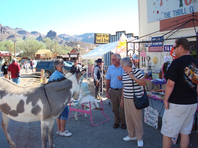 A day in the life in downtown Oatman