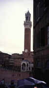 Siena_PiazzaDelCampo2.jpg (33246 bytes)