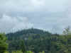 DSC00077.JPG (119230 bytes)