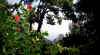 Capri_12_View4.jpg (49069 bytes)