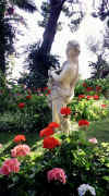 Capri_13_Gardens.jpg (77863 bytes)